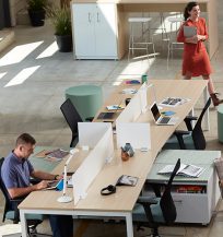 触发2D / 3D模型/ Revit中